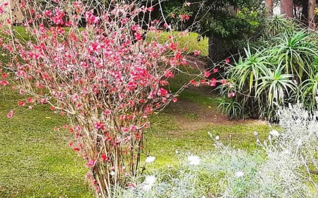 Helles, modernes Containerhaus