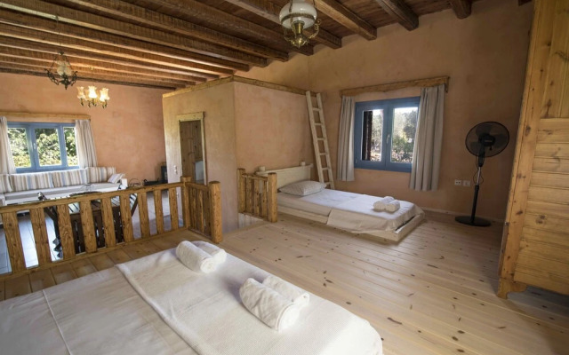 Chaihoutes stone House into Olive farm in Zia