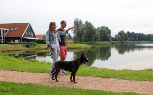 HVZ Orchis Wellness 6p