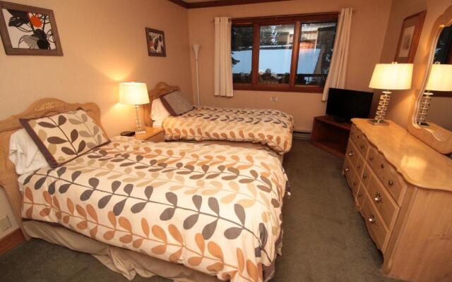 Mountainback #59 dog friendly