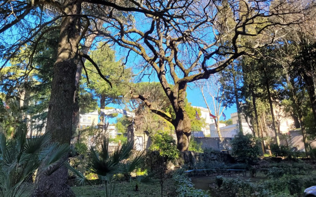 Villa Aricia
