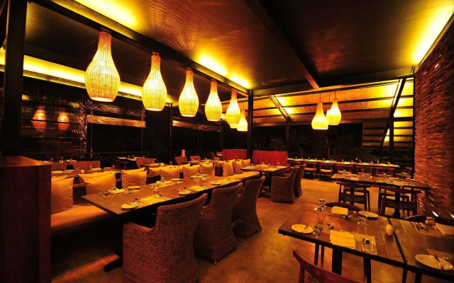 Cinnamon Wild Yala