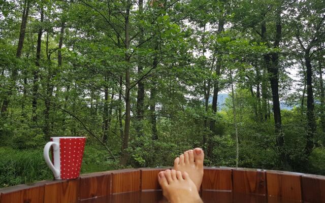 Vodenica Vrelo Chalets