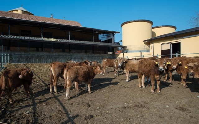 Fattoria Didattica La Collina Incantata