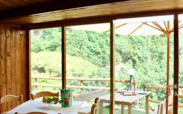 Tenuta Bosco