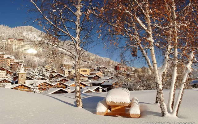 Alpine Classic Hotel Leysin