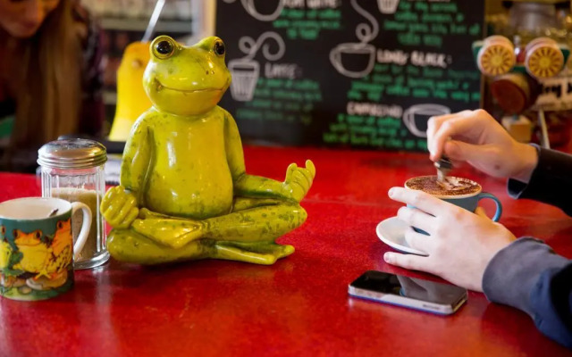 The Pickled Frog - Hostel