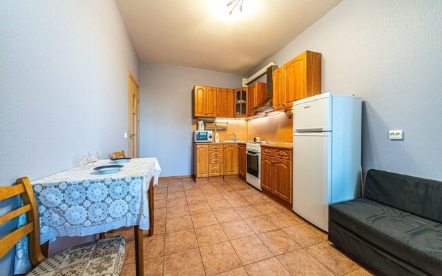 Apartment near Center Almazova 3