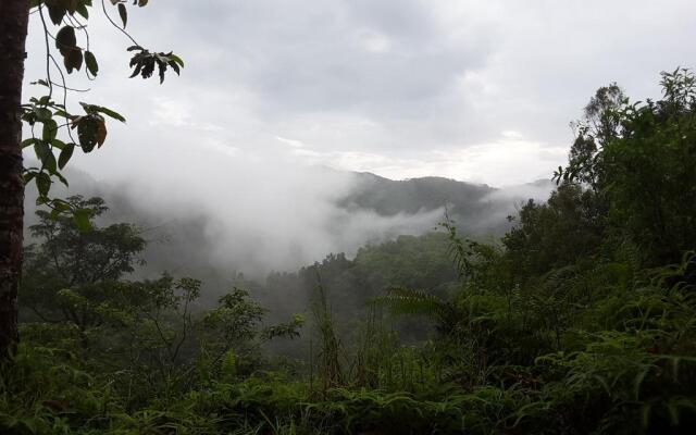 Sinharaja Birder's Lodge