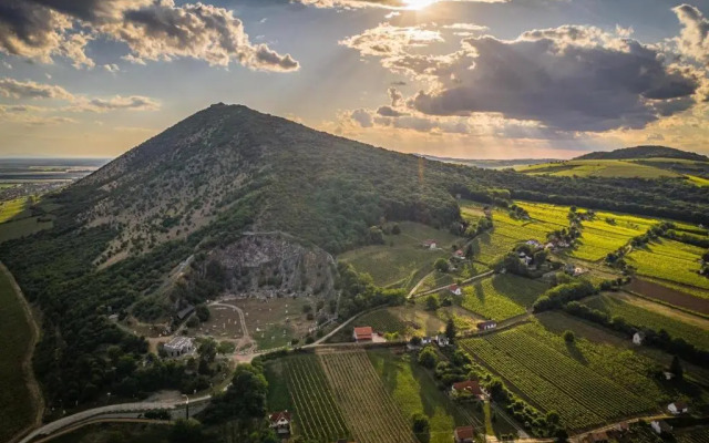 BorászPorta