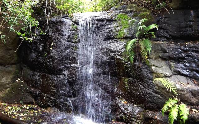 Riverbend Byron Hinterland Retreat