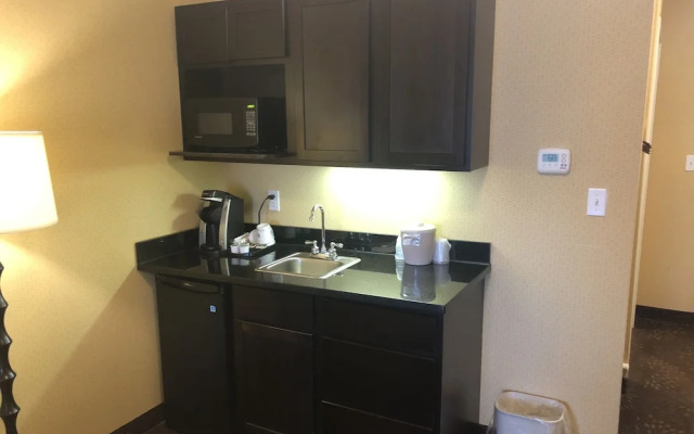 Holiday Inn Express & Suites Lansing-Dimondale