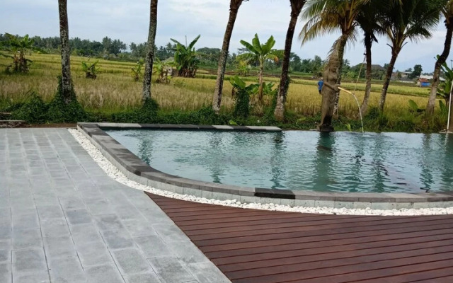 mas village resort