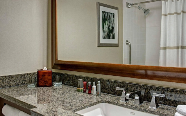 Dallas/Fort Worth Airport Marriott