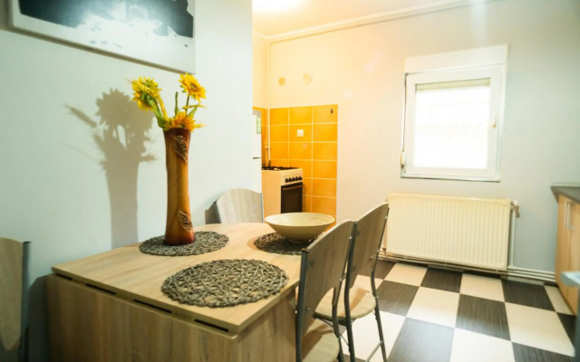 Apartament Dacul