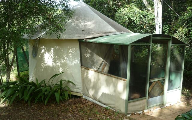 Mt Warning Rainforest Park