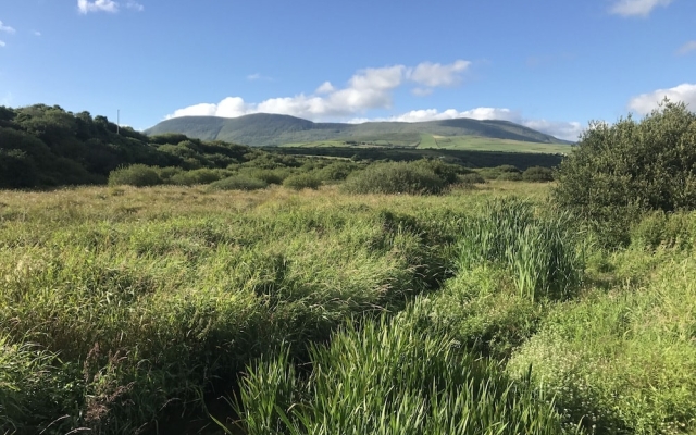 Lispole Holiday Cottages