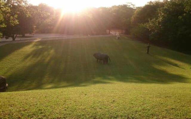 Chaminuka Lodge and Nature Reserve