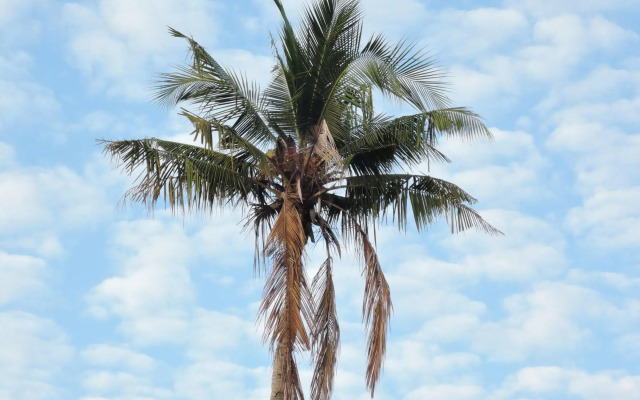 Old Village Gili Air