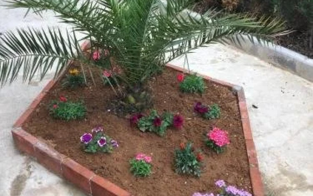 Vaja's Guest House