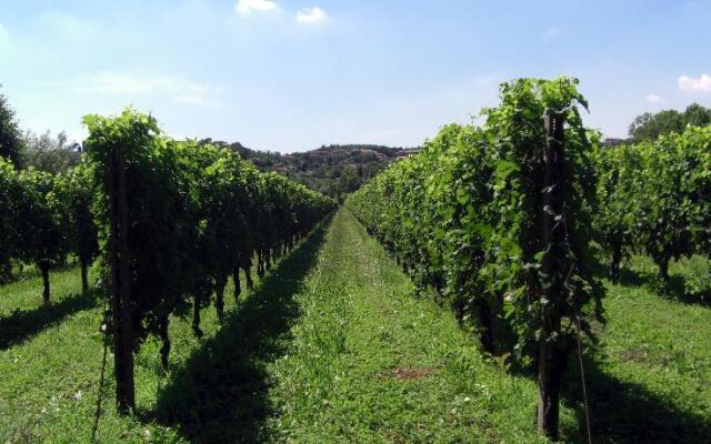 B&B Il Vigneto