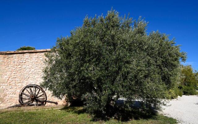 Mas des Olives