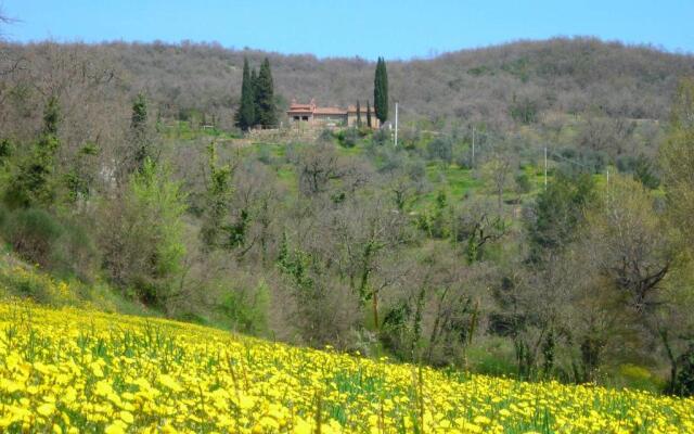 Allegro Agriturismo Argiano