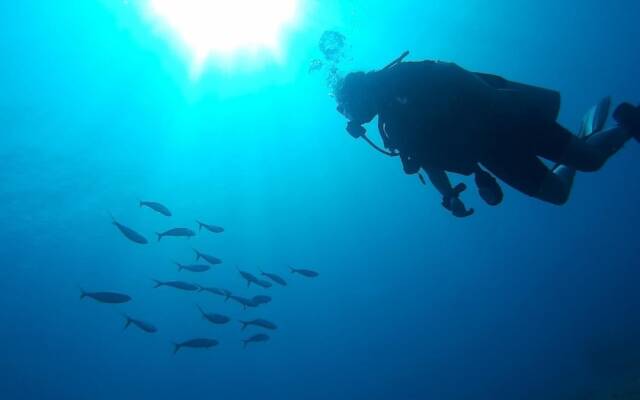 East Lombok Dive Hotel - Hostel