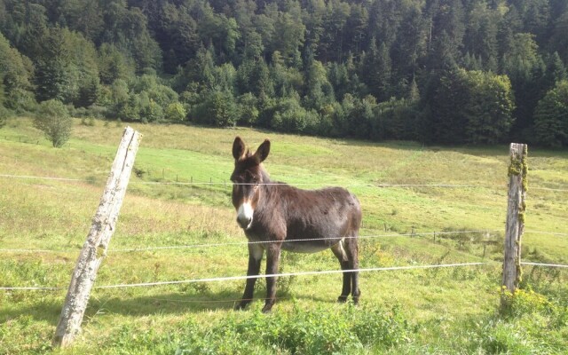 La Ferme Des Delices