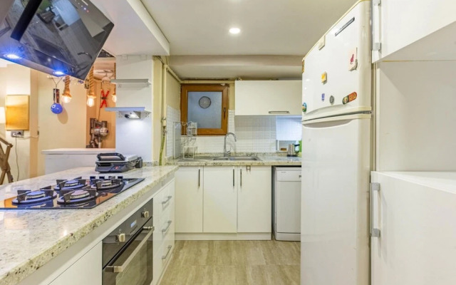 Stylish and Central Flat With Backyard in Sisli