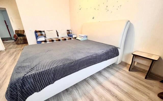 Риконе на улице Мельникайте 144