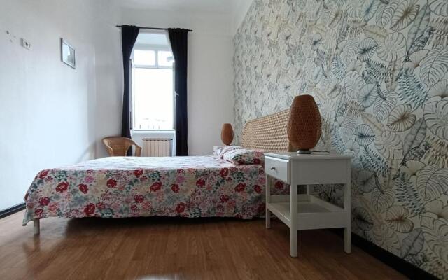 Colosseo Kokedama rooms