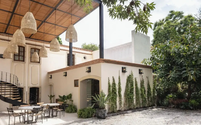 Orchid House Coyoacán