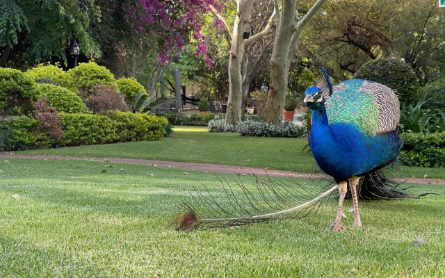 Black Eagle Hotel & Spa