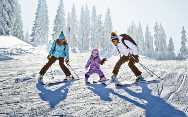 Apartment in Northern Alps With Skiing Nearby