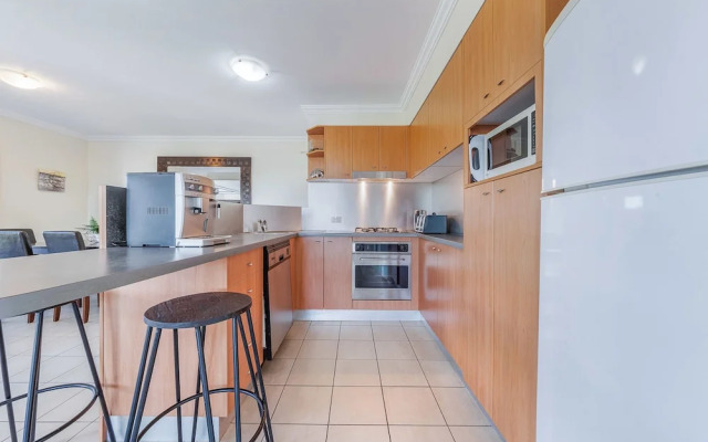 Oasis 26