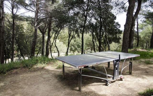 L’Éléphant de Vaugines