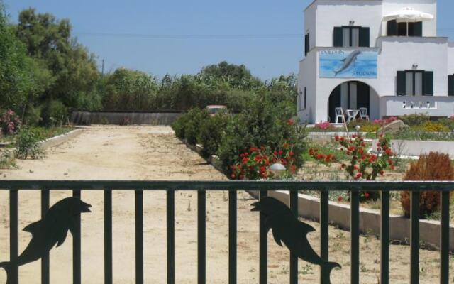 Dolphin Studios