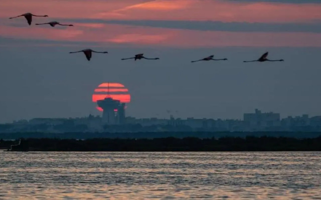 Peniche Alphonsia Maria