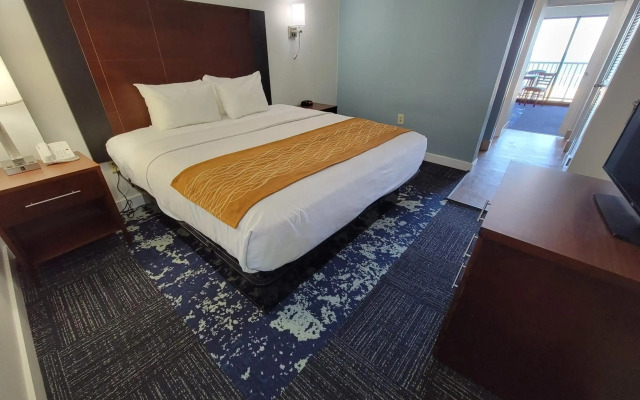 Coastal Hotel and Suites Virginia Beach Oceanfront
