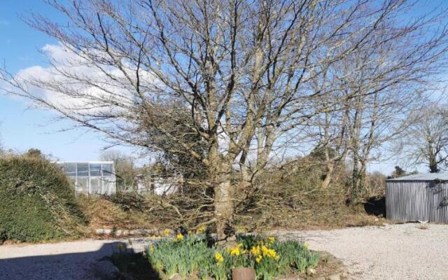 Rosebud Flower Farm Caravan Stay Countryside And Coast