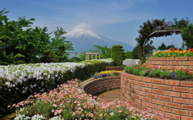 Hotel Mt. Fuji