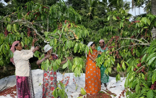 Field View Estate Bungalow