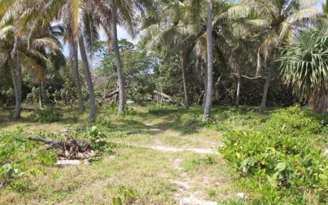 Alofa Beach Bungalows