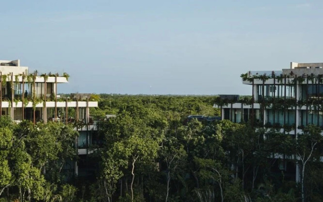 Gorgeous Loft Jungle Views and Premium Amenities