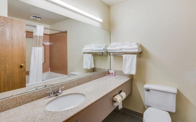 Econo Lodge Whitehall near Michigan's Adventure
