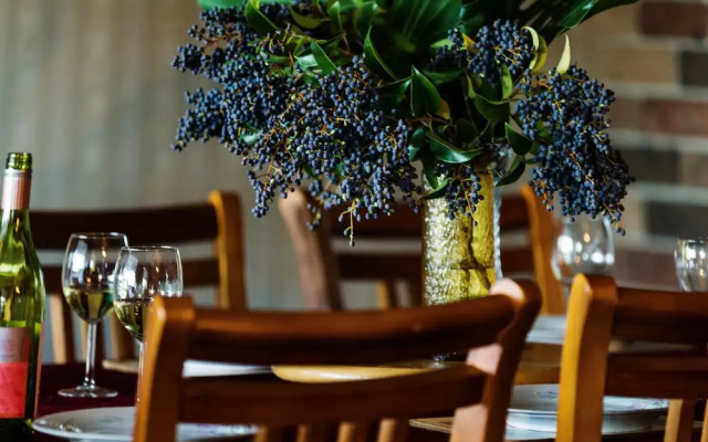 Coal d' Vine VIEW - Cessnock NSW