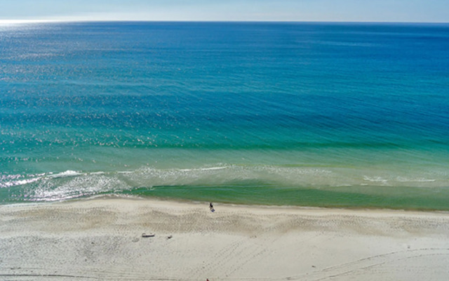 Twin Palms 1402 287431 by RedAwning