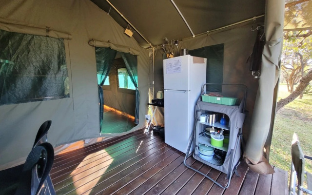 Thorn Tree Bush Camp