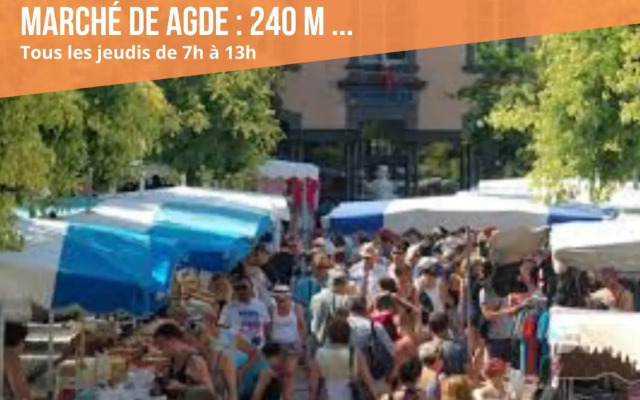 ~☆ T2 Les Pins du Midi - AGDEBNB ☆~